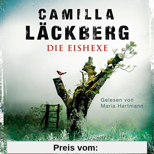 Die Eishexe: 2 CDs (Ein Falck-Hedström-Krimi, Band 10)